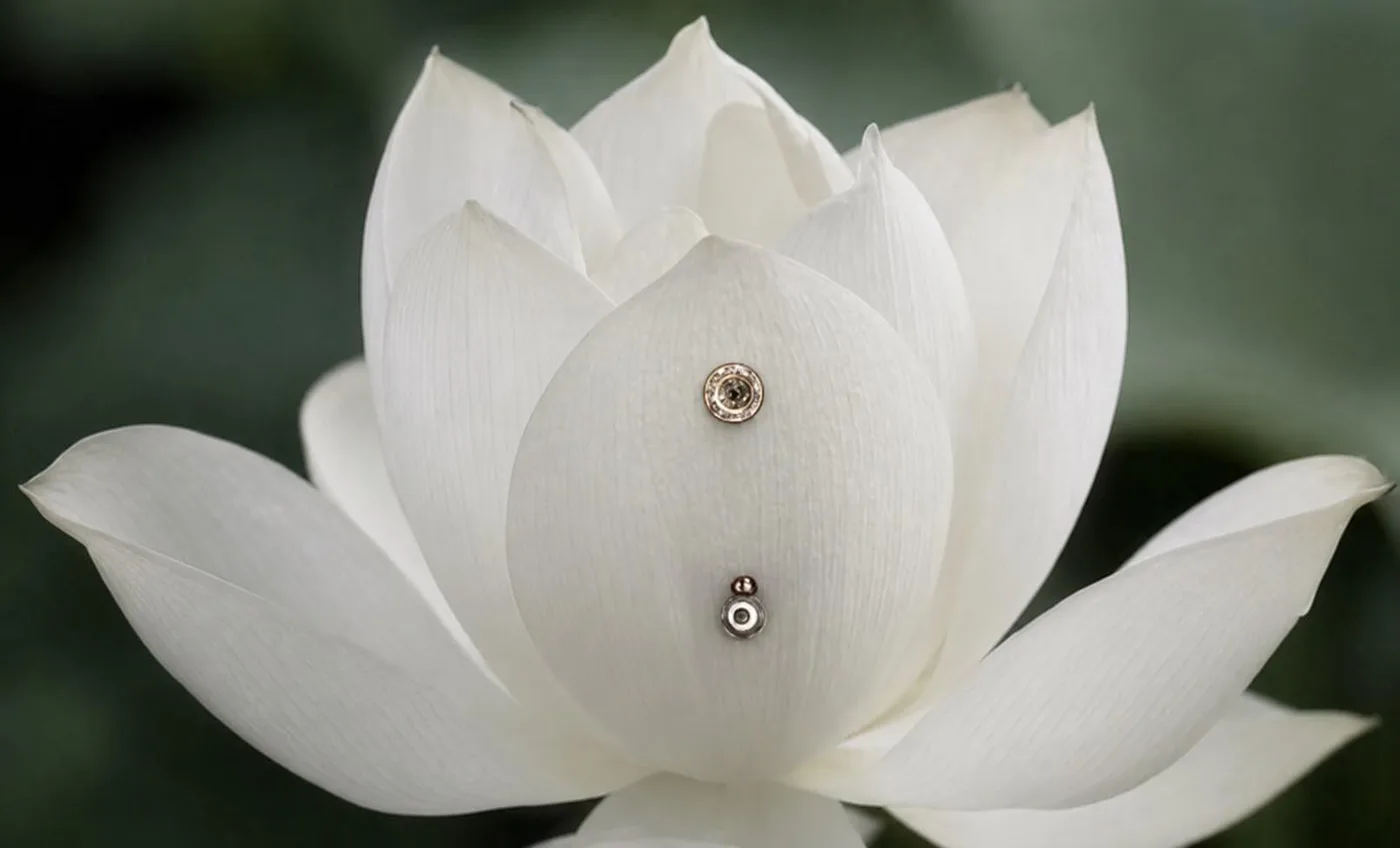 Titan-Labret-Stecker als Erstschmuck bei Beautyrella Berlin